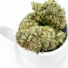 Kush Station Promotion - Flowers | Hybrid | Indica | Sativa