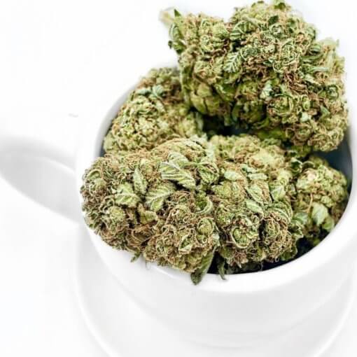 Kush Station Promotion - Flowers | Hybrid | Indica | Sativa