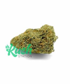 Chocolope | Sativa | Kush Station | Buy Weed Online