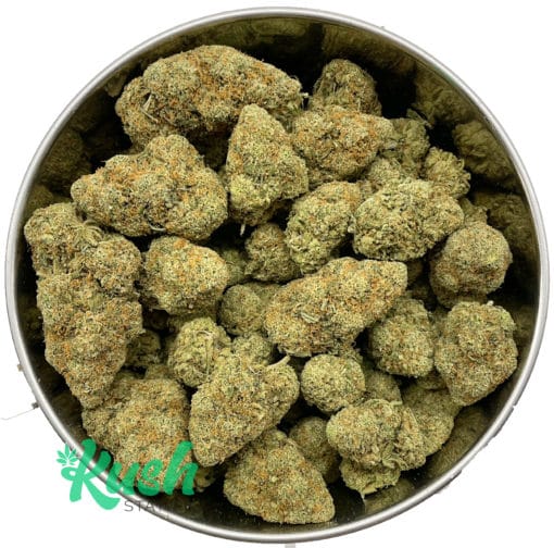 Chocolope | Sativa | Kush Station | Buy Weed Online