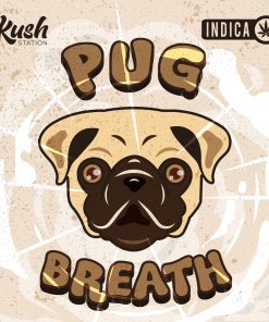 Pug Breath