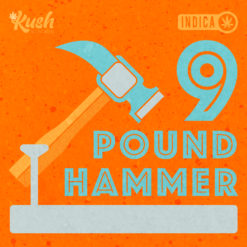 9 Pound Hammer Graphics