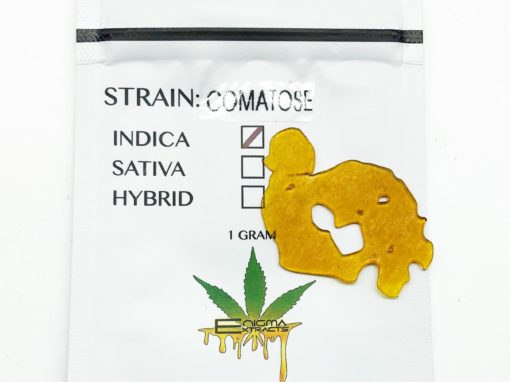 Enigma Extracts Comatose Shatter | Indica | Kush Station | Buy Weed Online