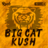 Big Cat Kush Graphics