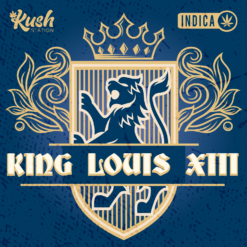 King Louis XIII Graphics
