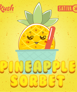 Pineapple Sorbet Graphics