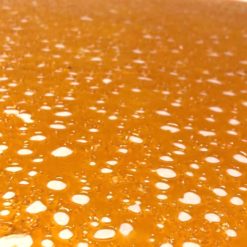 Luxe Extracts Girl Scout Cookies Shatter | Kush Station | Buy Weed Online