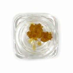 Elite Elevation Live Resin Caviar | Bugatti | Concentrates | Buy Weed Online