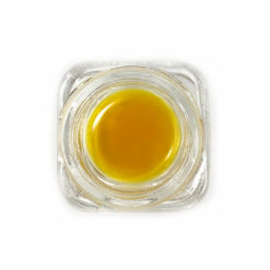 Elite Elevation Live Resin Sauce | El Chapo | Concentrates | Buy Weed Online