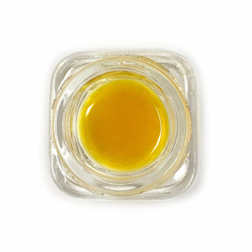 Elite Elevation Live Resin Sauce | Purple Space Cookies | Concentrates | Buy Weed Online