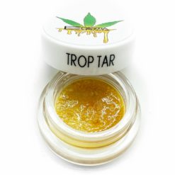 Trop Tar Diamond by Enigma Extracts | Kush Station
