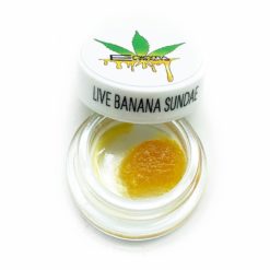 Live Banana Sundae By Enigma Extracts | Kush Station