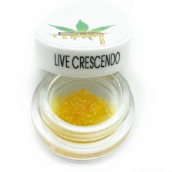 Live Crescendo By Enigma Extracts | Kush Station