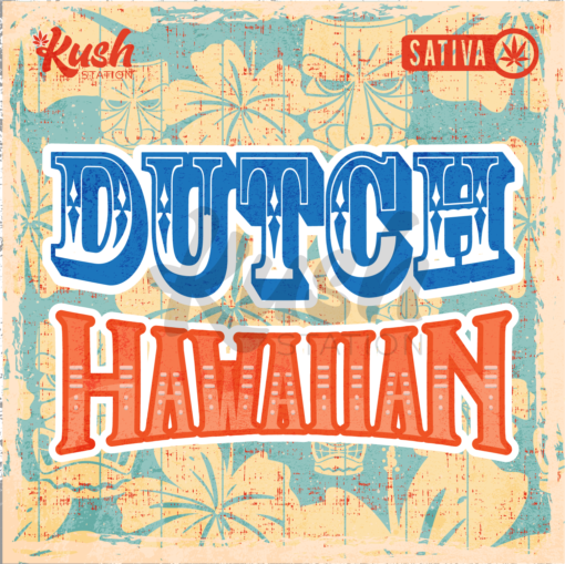 Dutch Hawaiian Graphics