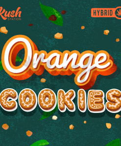 Orange Cookies Graphics