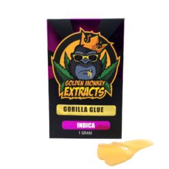 Golden Monkey Extracts Gorilla Glue Shatter | Shatter | Kush Station | Buy Weed Online
