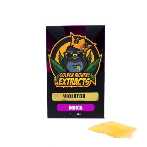 Golden Monkey Extracts Violator Shatter | Shatter | Kush Station | Buy Weed Online