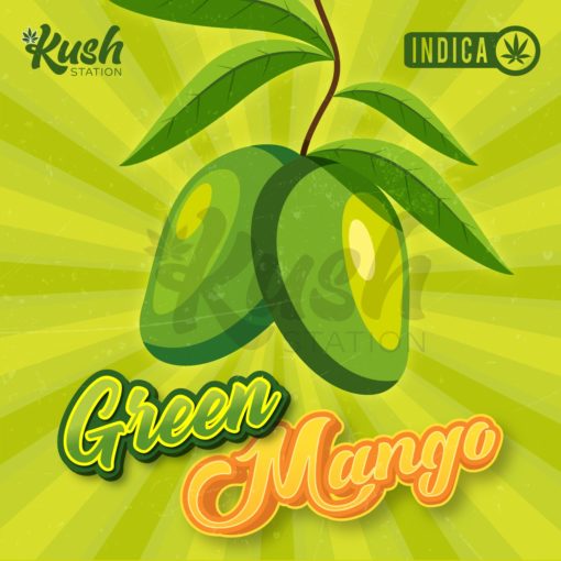 Green Mango | Indica | Kush Station | Buy Weed Online
