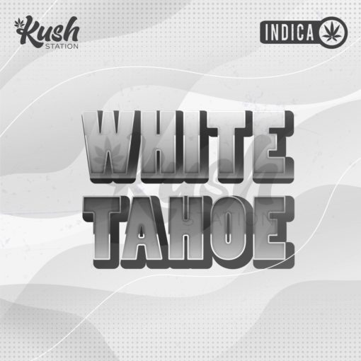 White Tahoe | Indica | Kush Station | Buy Weed Online
