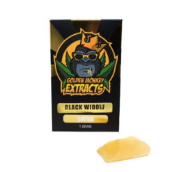 Golden Monkey Extracts Black Widow Shatter | Shatter | Kush Station | Buy Weed Online