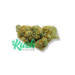 Blue Fin Tuna | Indica | Kush Station | Buy Weed Online