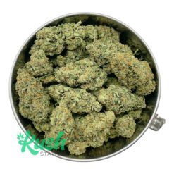 Moby Dick | Sativa | Kush Station | Buy Weed Online