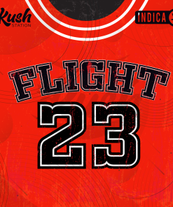 Flight 23 Graphics