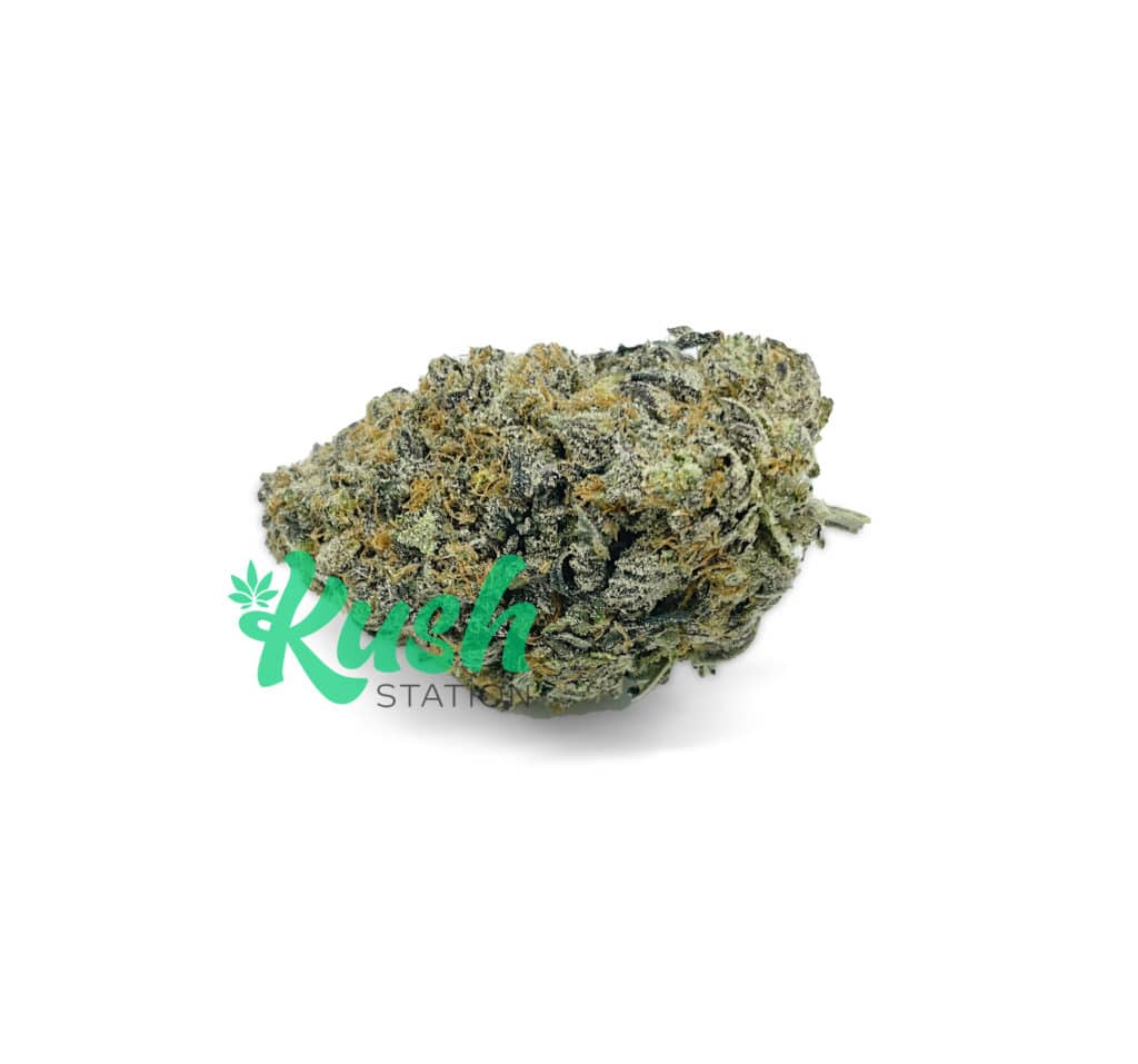 Chocolate Kush Kush Buy Chocolate Kush Strain Online Kush Station
