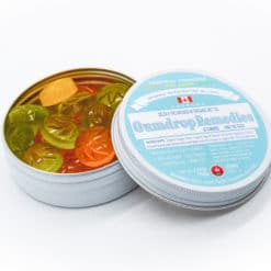 Cannamo Gumdrops Tropical Paradise | Edibles | Kush Station | Buy Edibles Online