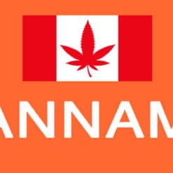 Cannamo