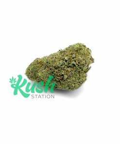 Raspberry Diesel | Hybrid | Kush Station | Buy Weed Online