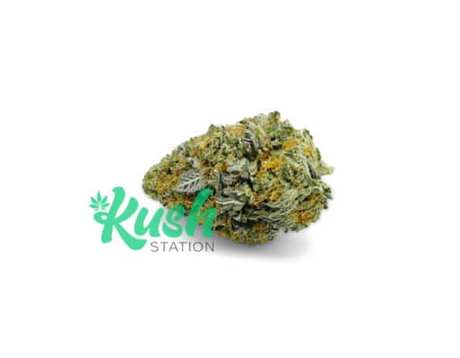 Watermelon | Indica | Kush Station | Buy Weed Online