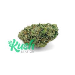 Pre-98 Bubba Kush By Bubba Kings | Indica | Kush Station | Buy Weed Online