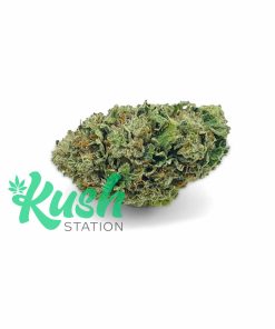 Pre-98 Bubba Kush By Bubba Kings | Indica | Kush Station | Buy Weed Online