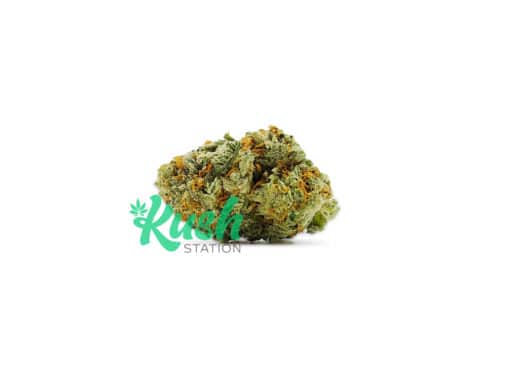 Grease Monkey | Hybrid | Kush Station | Buy Weed Online