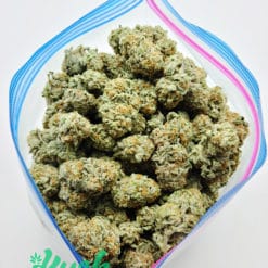 Grease Monkey | Hybrid | Kush Station | Buy Weed Online