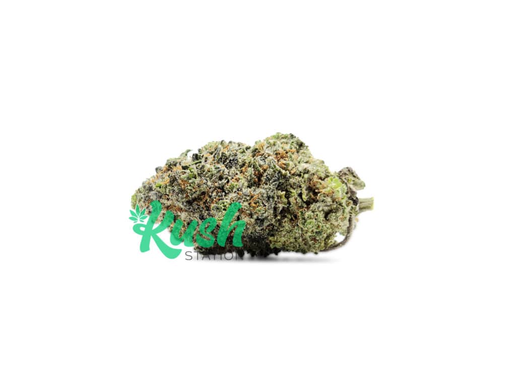 Pink Gorilla Buy Pink Gorilla Strain Online Kush Station Indica