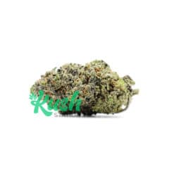 Pink Gorilla | Indica | Kush Station | Buy Weed Online