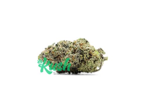 Pink Gorilla | Indica | Kush Station | Buy Weed Online