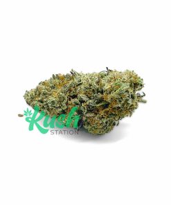 Purple Twister | Indica | Kush Station | Buy Weed Online