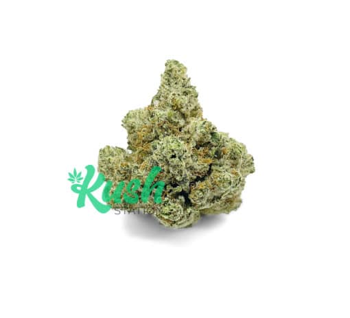 Worldstar OG | Hybrid | Kush Station | Buy Weed Online