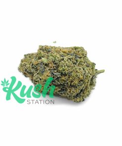 Grapefruit Sorbet | Sativa | Kush Station | Buy Weed Online