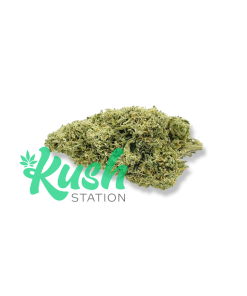 UK Cheese | Hybrid | Kush Station | Buy Weed Online