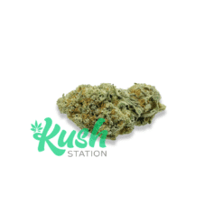 Lemon Tree | Hybrid | Kush Station | Buy Weed Online