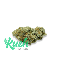 Lemon Tree | Hybrid | Kush Station | Buy Weed Online