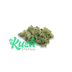 Sour Pink OG | Sativa | Kush Station | Buy Weed Online