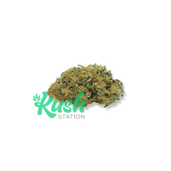 Black Cherry | Indica | Kush Station | Buy Weed Online
