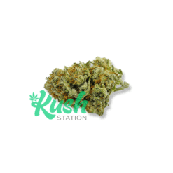 Gorilla Glue #4 | Indica | Kush Station | Buy Weed Online