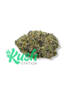 Grape GMO | Hybrid | Kush Station | Buy Weed Online