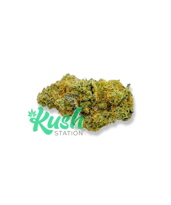 Crescendo | Sativa | Kush Station | Buy Weed Online